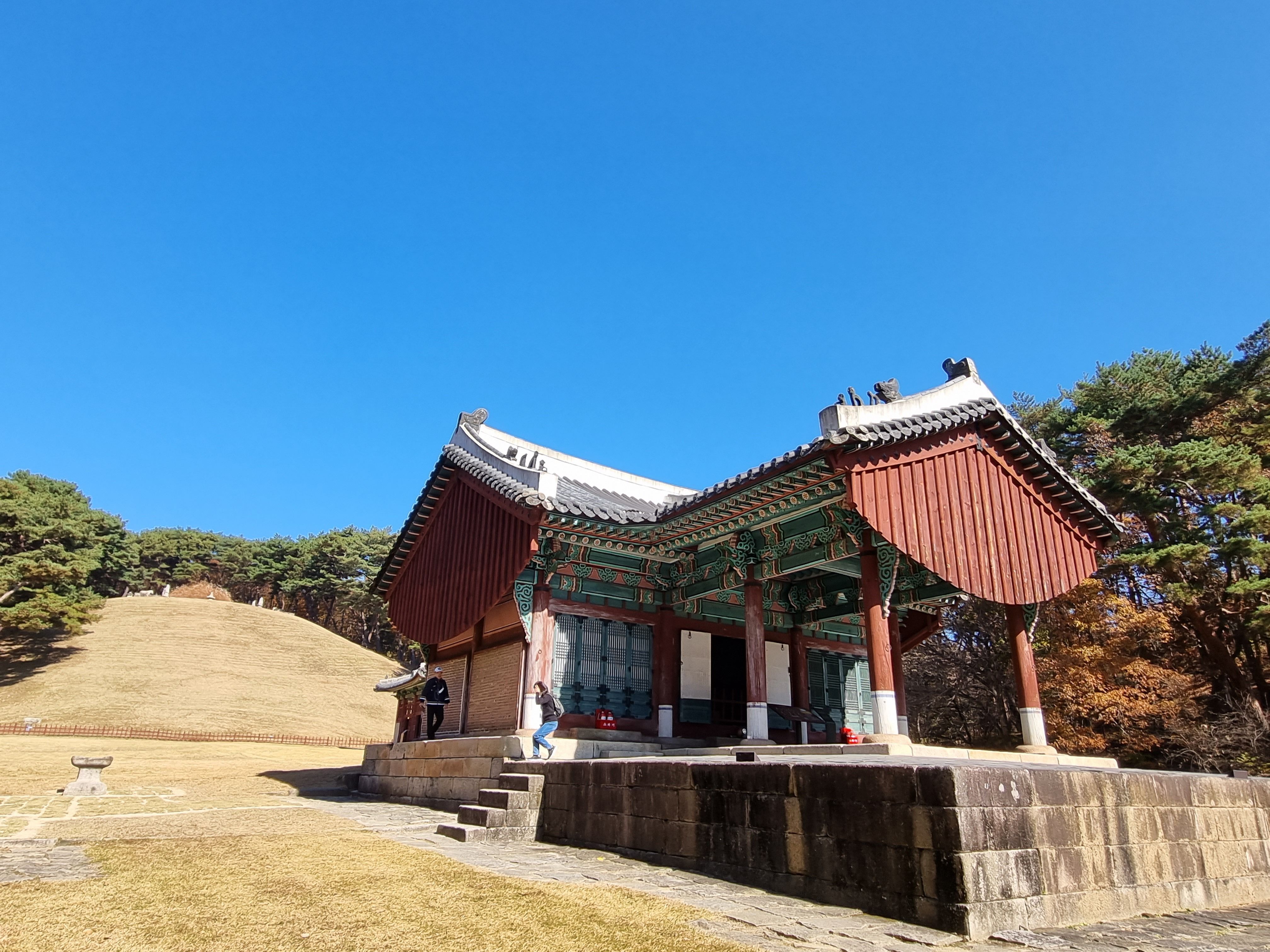 코스 이미지